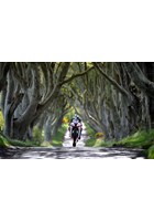 Michael Dunlop Dark Hedges Acrylic