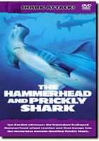 Shark Attack - The Hammerhead 